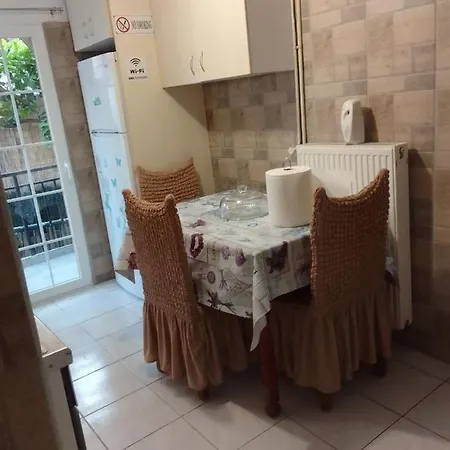 Antonia Family House Near Airport Daire Pórto Ráfti Dış mekan fotoğraf